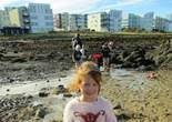 IMG_3441 (768x1024).jpg (145317 bytes)